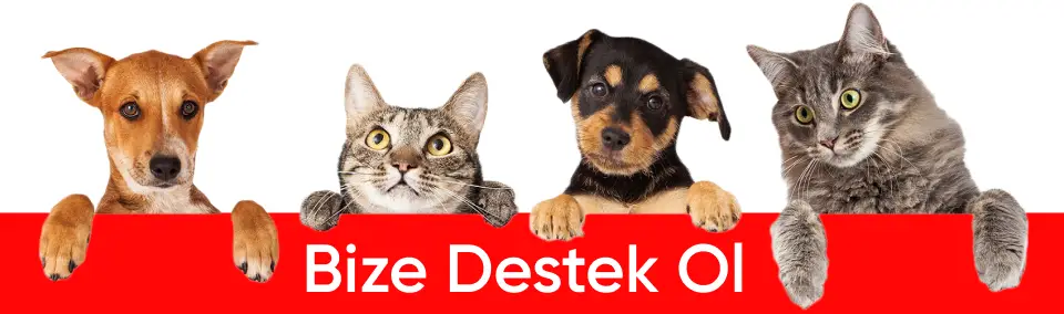 Reklam Banner